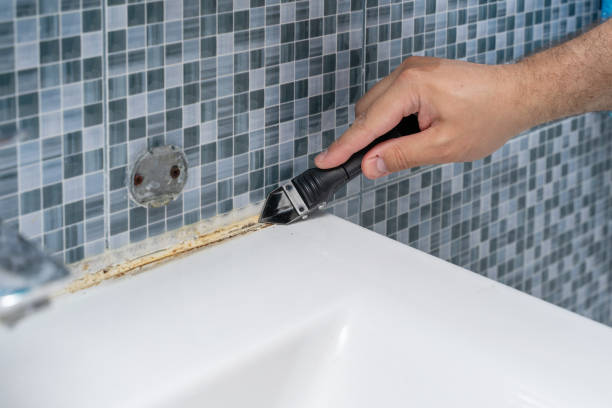 Best Toxic Mold Removal  in Conestee, SC